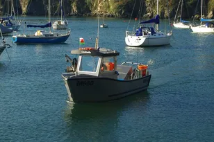 2024 Robust Boats Robust 23c