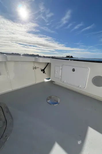 Tomahawk Yacht Photos Pics 2011 Flowers Hardtop boat deck under sunny sky with ocean view.