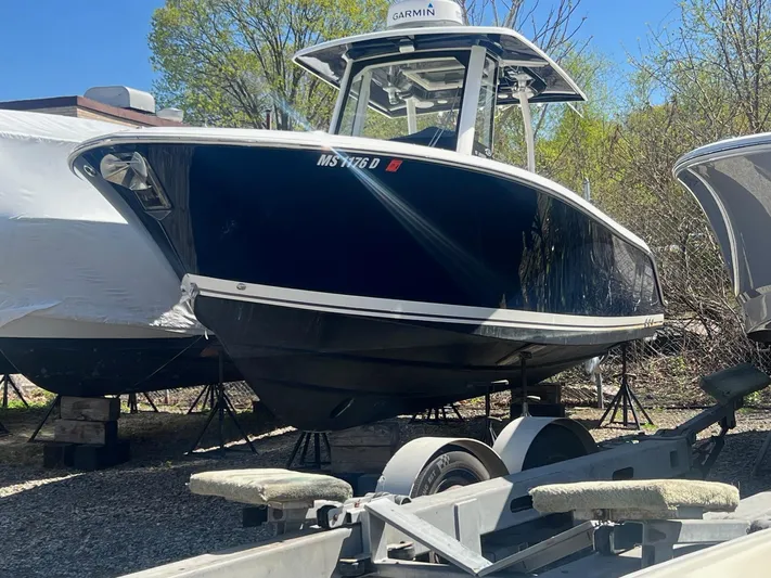  Yacht Photos Pics 