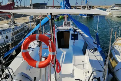 2024 Focus Focus 810