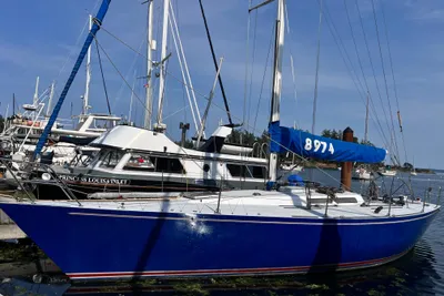 Peterson 41