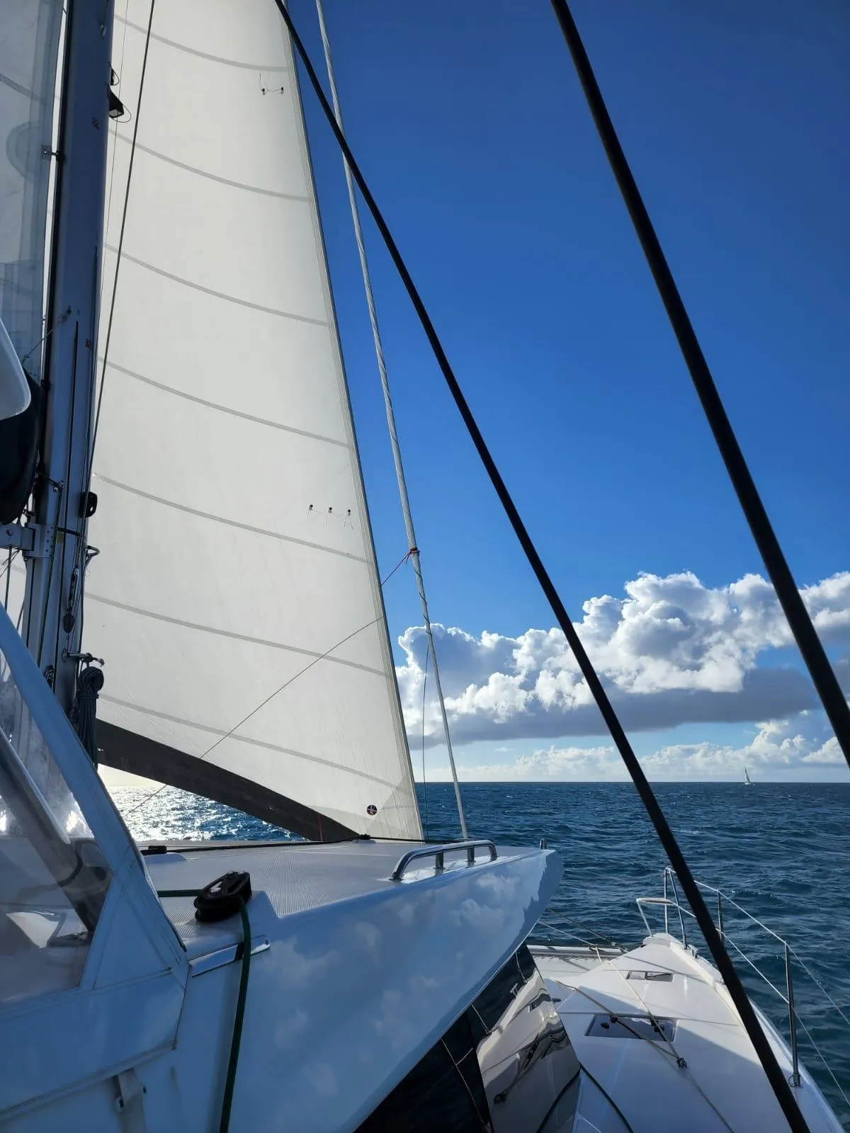 Leopard 50 2024 (AKULA)