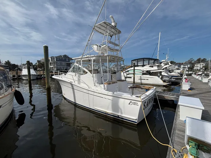 Sawbones Yacht Photos Pics 