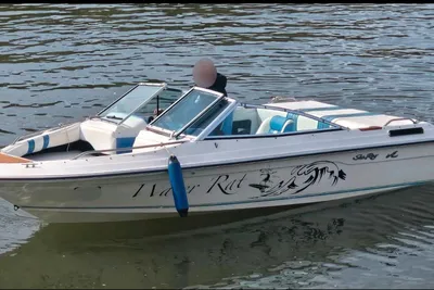 1989 Sea Ray BR160