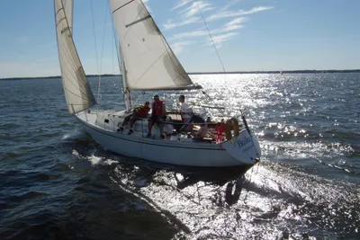 CAL 2-30