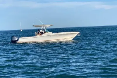 Chris-Craft Catalina 29 Sun Tender