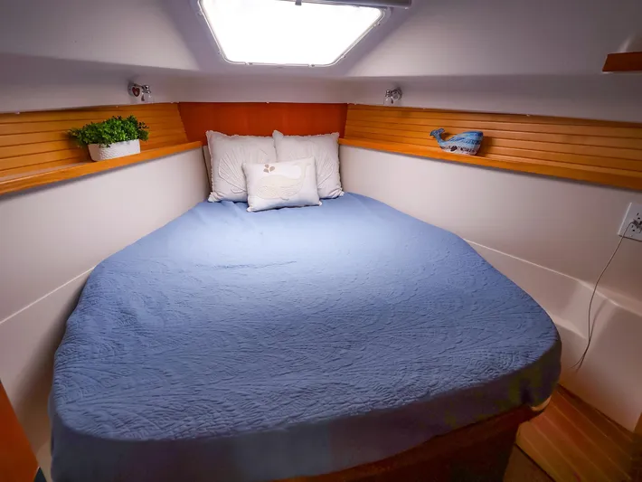  Yacht Photos Pics Cozy cabin interior of 2021 Catalina C355 sailboat with blue bedding and wooden accents.