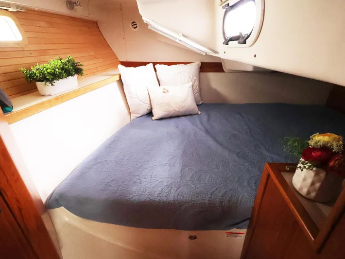  Yacht Photos Pics Cozy cabin interior of 2021 Catalina C355 sailboat with bed and porthole.