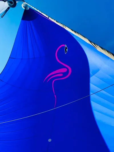 Flamingo Yacht Photos Pics 