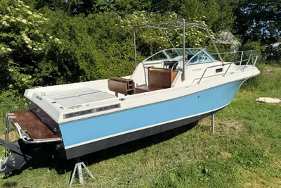 1999 White Shark 237