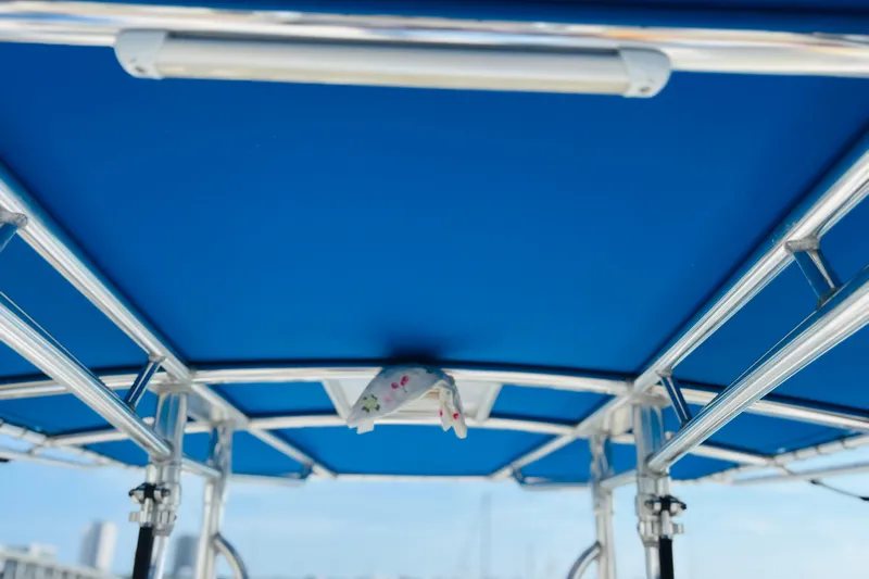  Yacht Photos Pics Blue canopy and metal frame of a 2016 Whitewater boat, viewed from below.