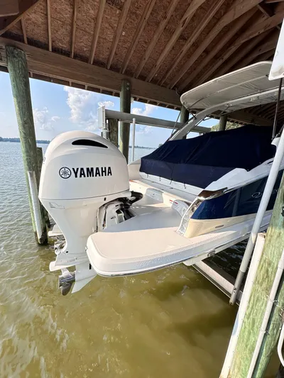  Yacht Photos Pics 2019 Regal 29 OBX boat with Yamaha outboard motor docked under a wooden shelter.