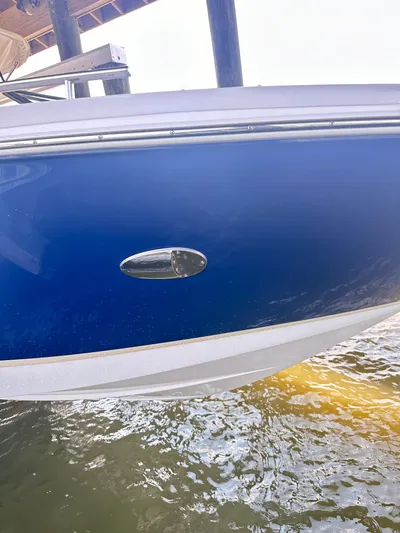  Yacht Photos Pics 2019 Regal 29 OBX boat with blue hull, docked on water.