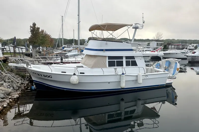 Lucky Dog Yacht Photos Pics 2002 Mainship 390 Trawler docked in a marina, surrounded by other boats.