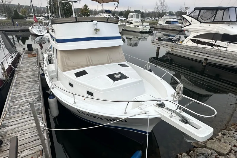 Lucky Dog Yacht Photos Pics 2002 Mainship 390 Trawler docked at marina, surrounded by other boats.