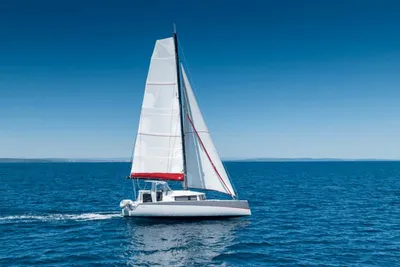 2024 NEEL 43 Performance