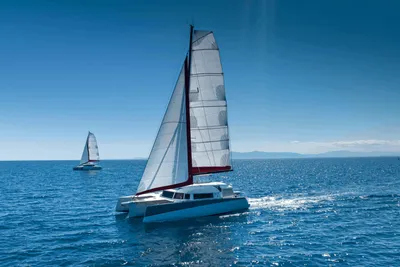 2024 NEEL 43 Performance