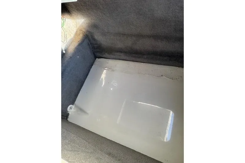  Yacht Photos Pics Storage compartment of 2019 Sea Ray SDX 290 Outboard boat, featuring carpeted interior.