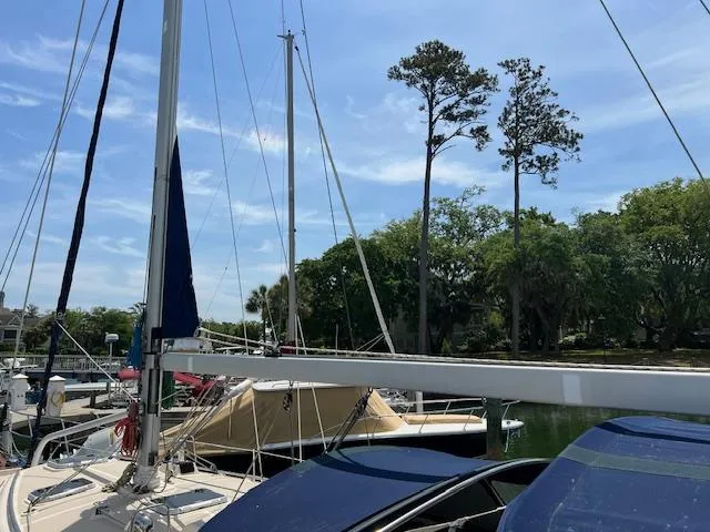  Yacht Photos Pics Island Packet 380 sailboat docked in a marina, surrounded by trees, under a clear blue sky.