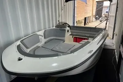 2024 Bayliner Element M15