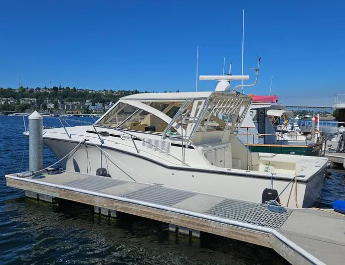  Yacht Photos Pics 2001 Carolina Classic Express 35 boat docked at marina under clear blue sky.