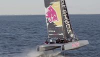 2016 DNA F4 Foiling Cat