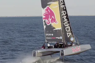 2016 DNA F4 Foiling Cat