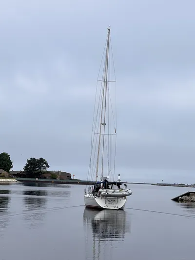 Nino Yacht Photos Pics 