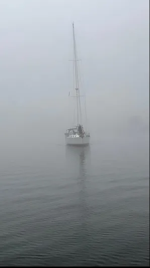 Nino Yacht Photos Pics 