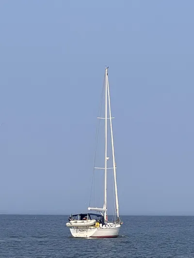 Nino Yacht Photos Pics 