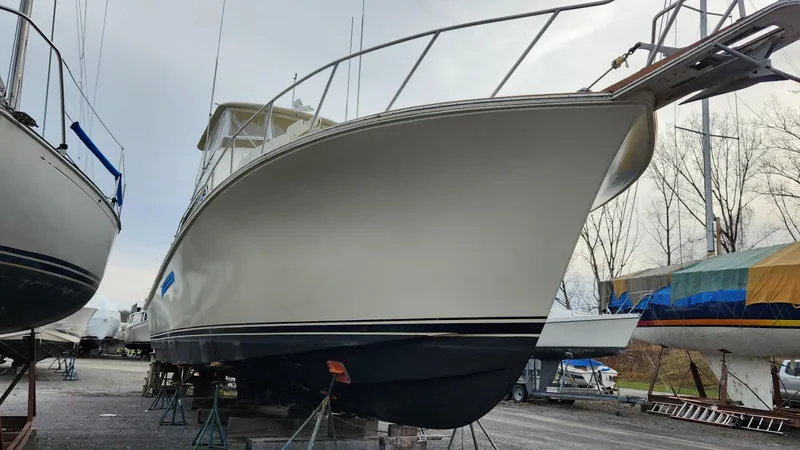 Reel Easy Yacht Photos Pics 