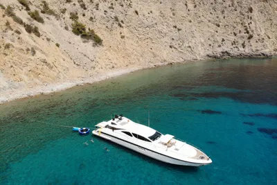 Mangusta 130