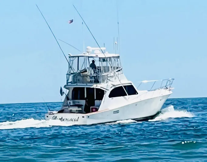 Harberascal Yacht Photos Pics 
