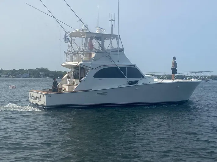 Harberascal Yacht Photos Pics 