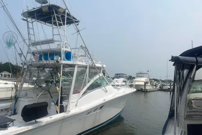 Luhrs 36 Open