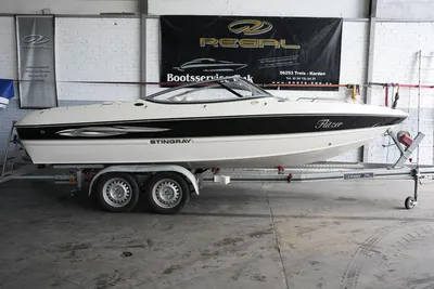 2011 Stingray 195 LX