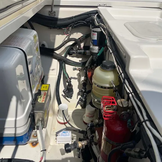 Reel Inspired Yacht Photos Pics 