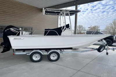 Boston Whaler 190 Montauk