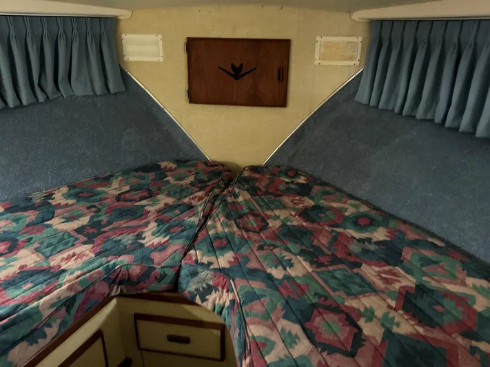 Reel Trio Yacht Photos Pics 