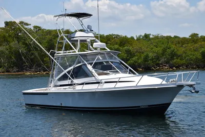 Blackfin 33 Combi