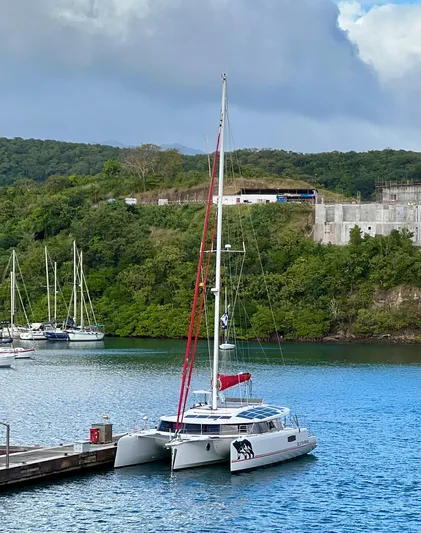 Out Of The Woods Yacht Photos Pics NEEL 51 Trimaran 2022 docked in harbor with lush greenery.