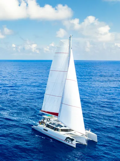 Out Of The Woods Yacht Photos Pics NEEL 51 trimaran sailing on open sea, 2022 model.