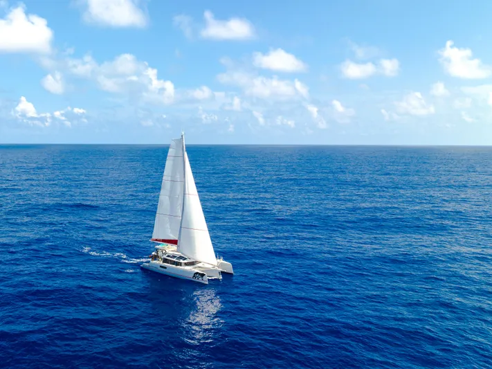 Out Of The Woods Yacht Photos Pics NEEL 51 trimaran sailing on open sea, 2022 model.