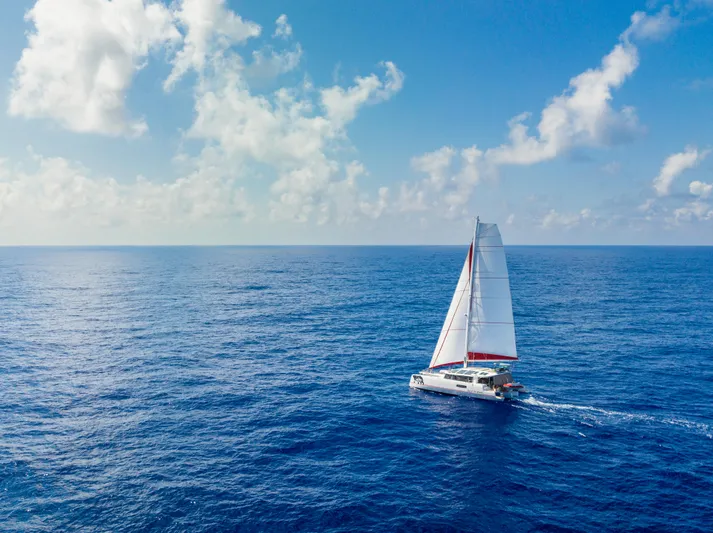 Out Of The Woods Yacht Photos Pics NEEL 51 trimaran sailing on open sea, 2022 model.