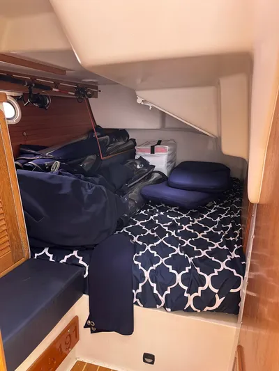 Rhapsody Yacht Photos Pics 