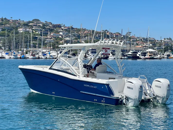 World Cat 280dc-x Yacht Photos Pics 