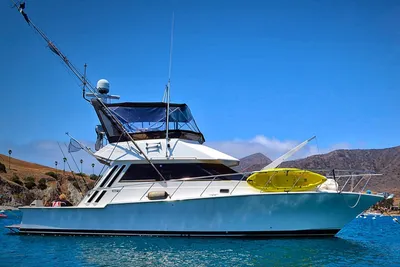Southern Cross 44 Sportfisher