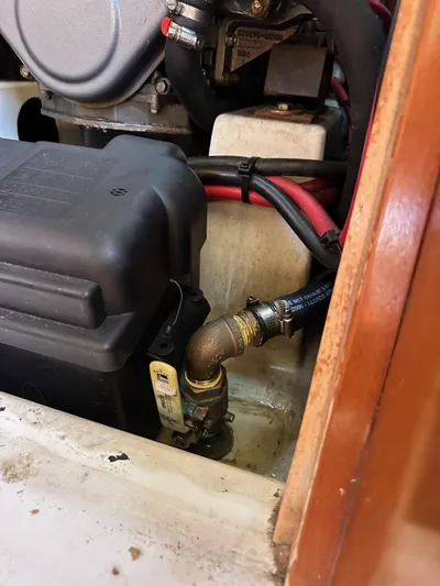 Shamrock Yacht Photos Pics 