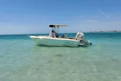 Pioneer 202 Islander