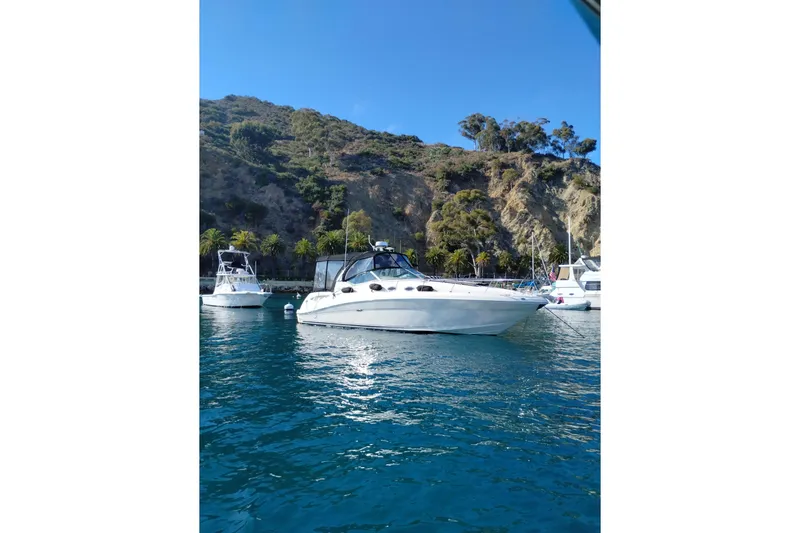  Yacht Photos Pics Actual Boat